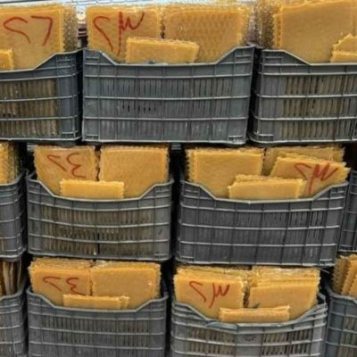 غراء قشرة خشبية